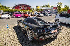 IMG_8088_Low
