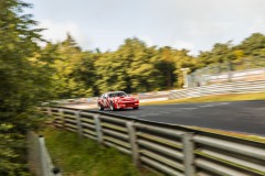 IMG_9295_1