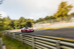 IMG_9299