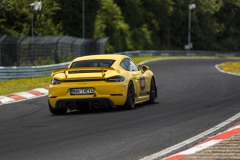 IMG_9475
