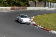 IMG_9584