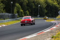 IMG_9655