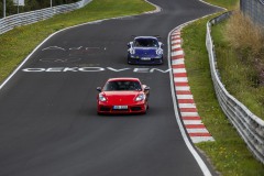 IMG_9686