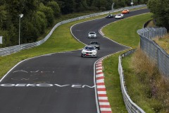 IMG_9692