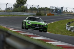 IMG_9890