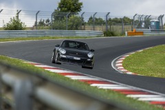 IMG_9951