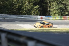 IMG_1461