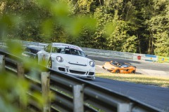 IMG_1492