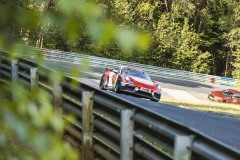 IMG_1512