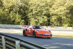 IMG_1557