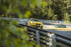 IMG_1711