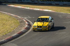 DSC_8809