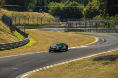 DSC_9414