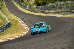 DSC_9544