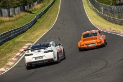 DSC_9685