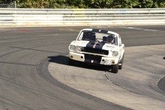 DSC0175_Low