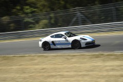 DSC1010_Low