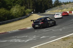 DSC1290_Low